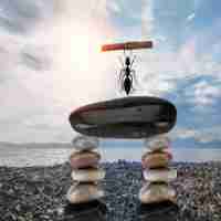 常‍见​反‍爬﻿虫‌技‌术﻿